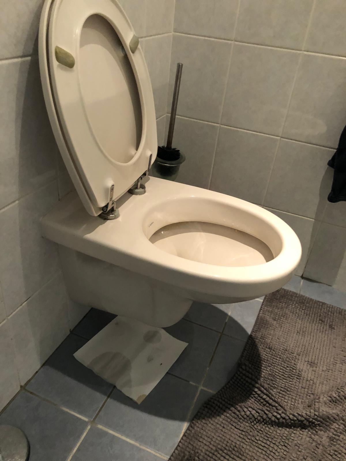 hangtoilet Bleiswijk